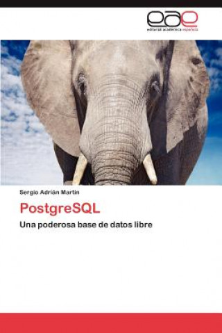 Könyv PostgreSQL Sergio Adrián Martin