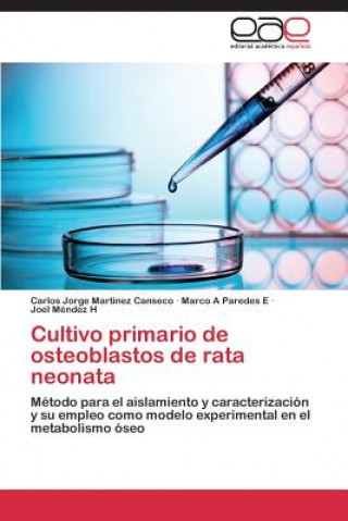 Kniha Cultivo primario de osteoblastos de rata neonata Carlos Jorge Martínez Canseco