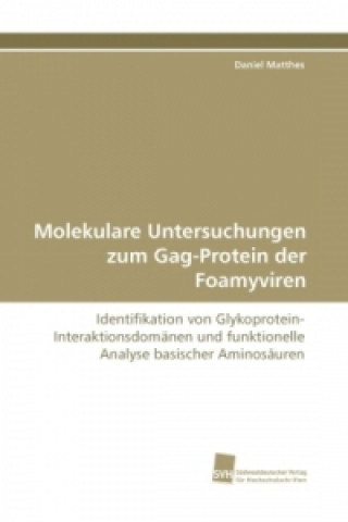 Könyv Molekulare Untersuchungen zum Gag-Protein der Foamyviren Daniel Matthes