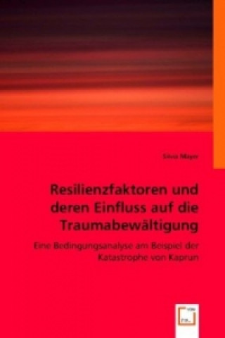 Kniha Einflüsse auf die Traumabewältigung Silvia Mayer