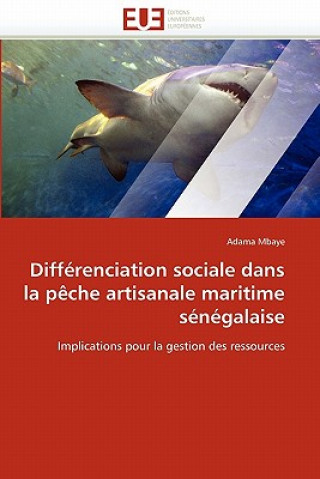 Könyv Diff renciation Sociale Dans La P che Artisanale Maritime S n galaise Adama Mbaye