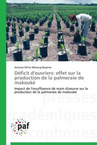 Buch Deficit d'Ouvriers Antoine Mitte Mbeang Beyeme