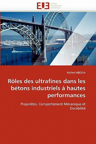 Kniha Roles des ultrafines dans les betons industriels a hautes performances Michel Mbessa