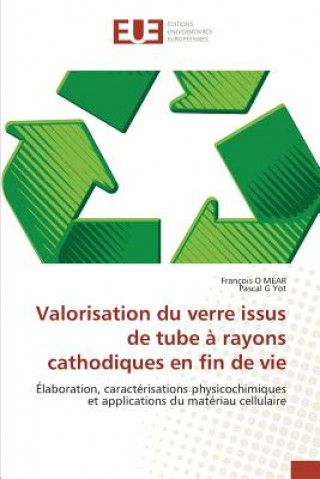 Buch Valorisation du verre issus de tube a rayons cathodiques en fin de vie François O. Mear