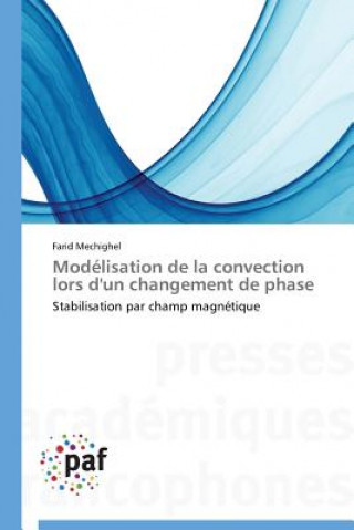 Könyv Modelisation de la Convection Lors d'Un Changement de Phase Farid Mechighel