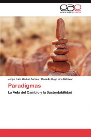 Knjiga Paradigmas Jorge Galo Medina Torres