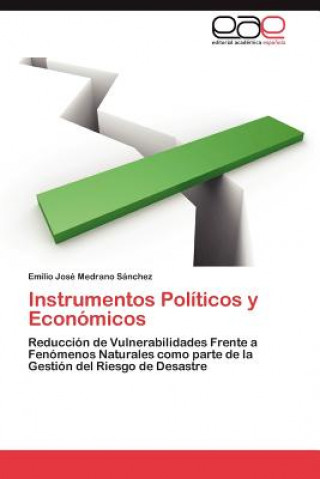 Kniha Instrumentos Politicos y Economicos Medrano Sanchez Emilio Jose