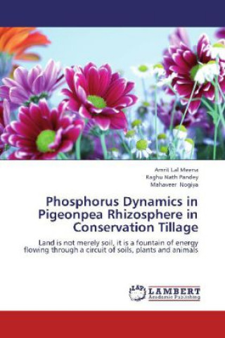 Carte Phosphorus Dynamics in Pigeonpea Rhizosphere in Conservation Tillage Amrit Lal Meena