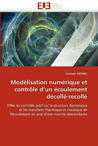 Kniha Modelisation numerique et controle d un ecoulement decolle-recolle Zouhaier Mehrez