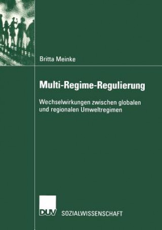 Kniha Multi-Regime-Regulierung Britta Meinke