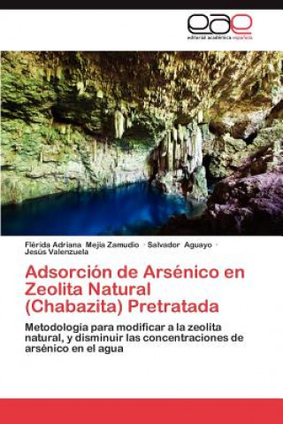 Kniha Adsorcion de Arsenico En Zeolita Natural (Chabazita) Pretratada Flérida Adriana Mejía Zamudio