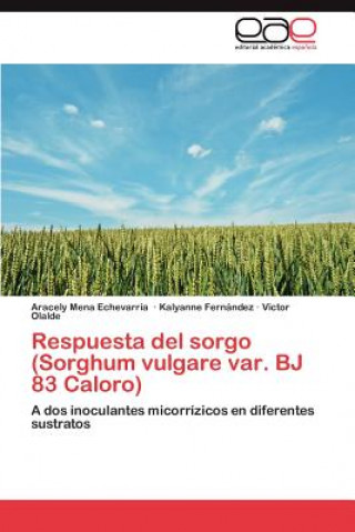 Könyv Respuesta del sorgo (Sorghum vulgare var. BJ 83 Caloro) Aracely Mena Echevarría