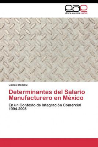 Buch Determinantes del Salario Manufacturero en Mexico Carlos Méndez