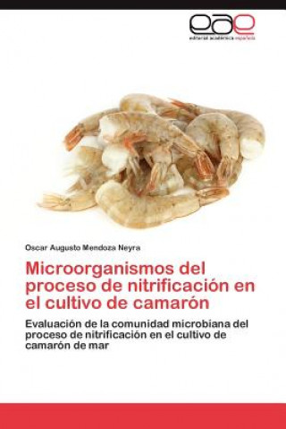 Buch Microorganismos del proceso de nitrificacion en el cultivo de camaron Oscar Augusto Mendoza Neyra