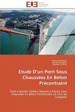 Kniha Etude D Un Pont Sous Chauss es En B ton Pr contraint Slimane Merdaci