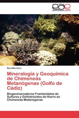 Carte Mineralogia y Geoquimica de Chimeneas Metanogenas (Golfo de Cadiz) Raul Merinero
