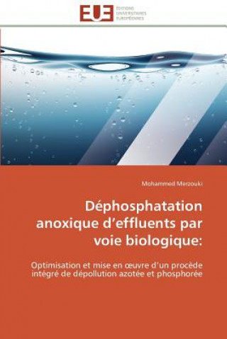 Carte D phosphatation Anoxique D Effluents Par Voie Biologique Mohammed Merzouki