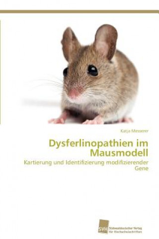 Kniha Dysferlinopathien im Mausmodell Katja Messerer