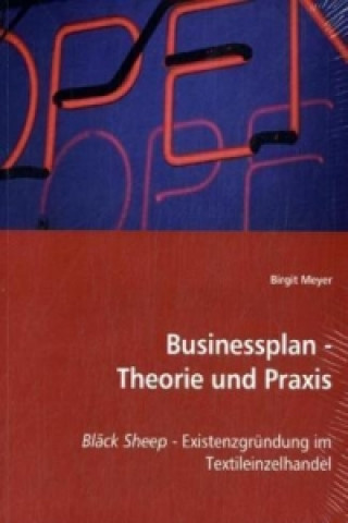 Kniha Businessplan - Theorie und Praxis Birgit Meyer