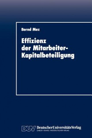 Kniha Effizienz der Mitarbeiter-Kapitalbeteiligung Bernd Mez