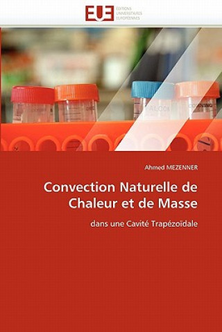 Kniha Convection Naturelle de Chaleur Et de Masse Ahmed Mezenner