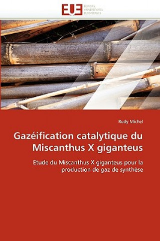 Könyv Gaz ification Catalytique Du Miscanthus X Giganteus Rudy Michel