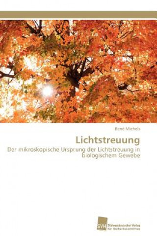 Kniha Lichtstreuung René Michels