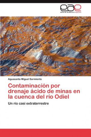 Carte Contaminacion por drenaje acido de minas en la cuenca del rio Odiel Aguasanta Miguel Sarmiento