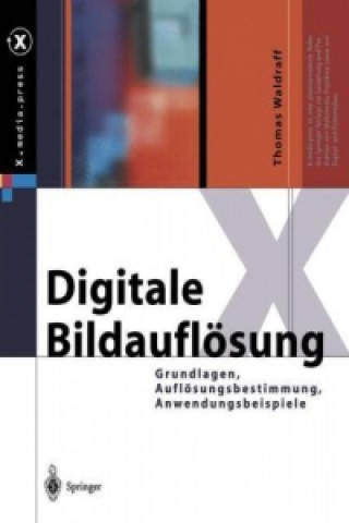 Kniha Digitale Bildauflösung Thomas Waldraff