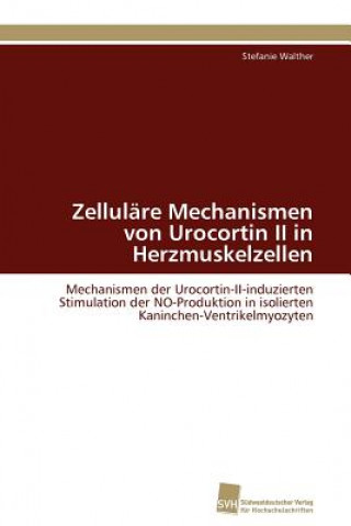 Книга Zellulare Mechanismen von Urocortin II in Herzmuskelzellen Stefanie Walther