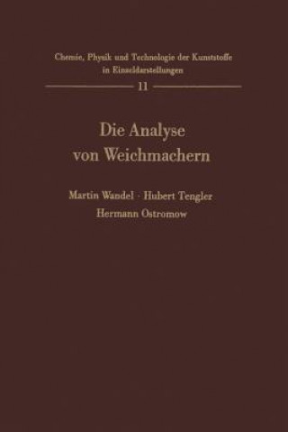 Kniha Die Analyse Von Weichmachern Martin Wandel