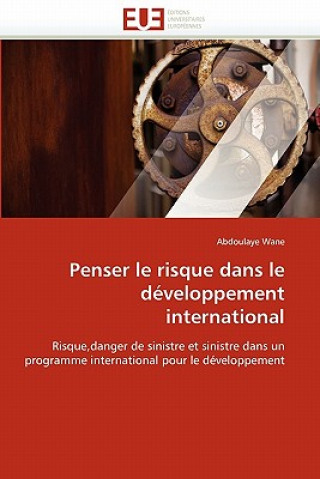 Kniha Penser le risque dans le developpement international Abdoulaye Wane