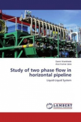 Kniha Study of two phase flow in horizontal pipeline Samir Wankhede