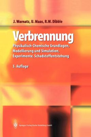 Kniha Verbrennung Jürgen Warnatz