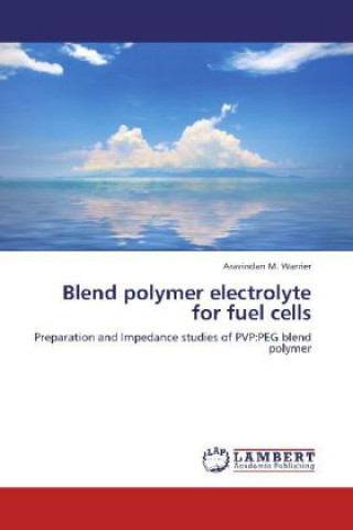 Könyv Blend polymer electrolyte for fuel cells Aravindan M. Warrier