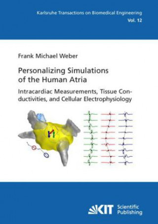 Könyv Personalizing simulations of the human atria : intracardiac measurements, tissue conductivities, and cellular electrophysiology Frank M. Weber
