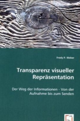 Kniha Transparenz visueller Repräsentation Fredy P. Weber