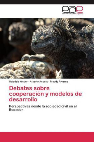 Könyv Debates sobre cooperación y modelos de desarrollo Gabriela Weber