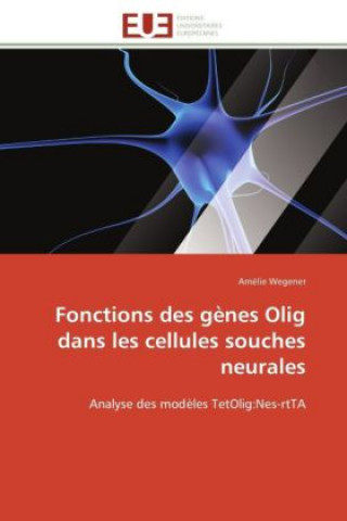 Buch Fonctions des gènes Olig dans les cellules souches neurales Amélie Wegener