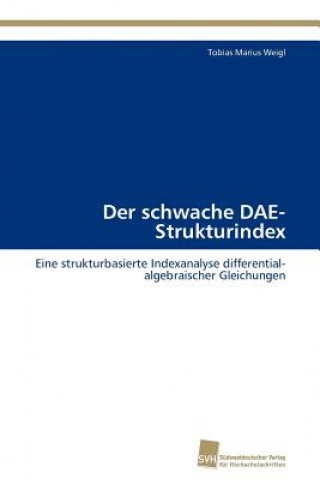 Kniha schwache DAE-Strukturindex Tobias Marius Weigl