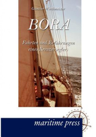 Kniha Bora Günther Werckmeister