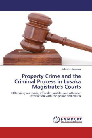 Könyv Property Crime and the Criminal Process in Lusaka Magistrate's Courts Kalombo Mwansa