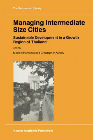 Kniha Managing Intermediate Size Cities C. Auffrey