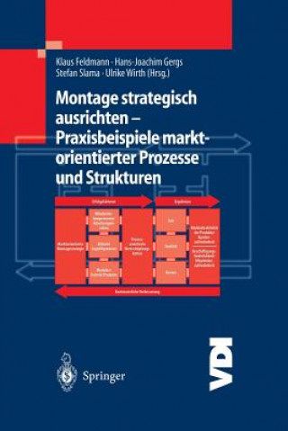 Carte Montage Strategisch Ausrichten -- Praxisbeispiele Marktorientierter Prozesse Und Strukturen Klaus Feldmann