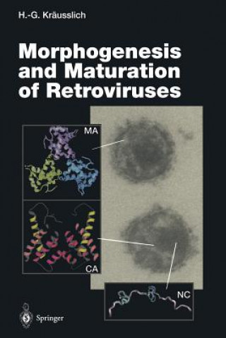 Knjiga Morphogenesis and Maturation of Retroviruses Hans-Georg Kräusslich