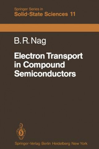 Kniha Electron Transport in Compound Semiconductors B. R. Nag