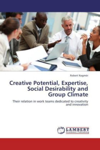 Könyv Creative Potential, Expertise, Social Desirability and Group Climate Robert Nagmér