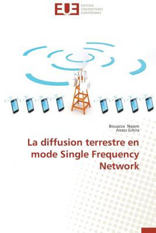 Kniha La Diffusion Terrestre En Mode Single Frequency Network Bouazza Najem