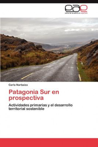 Carte Patagonia Sur en prospectiva Carla Narbaiza