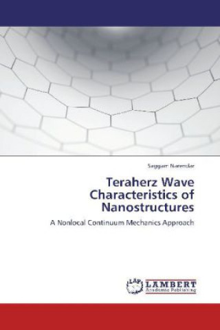 Buch Teraherz Wave Characteristics of Nanostructures Saggam Narendar